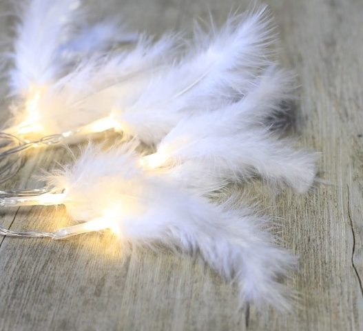 plumes lumineuses pour mariage