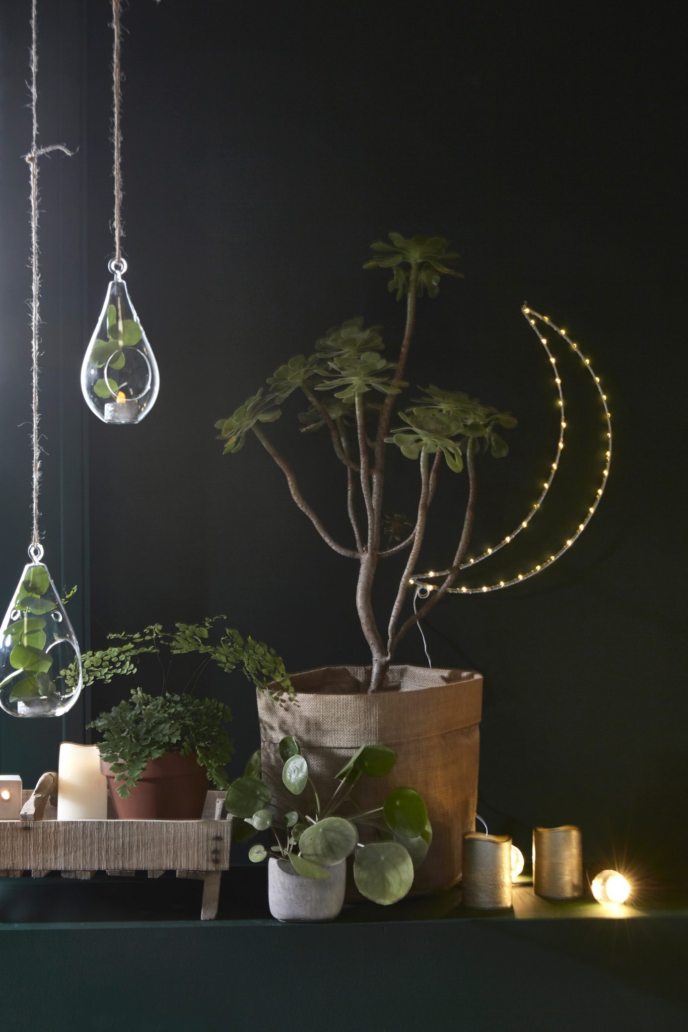 decoration noel vert lune plantes tendance 2018 2017