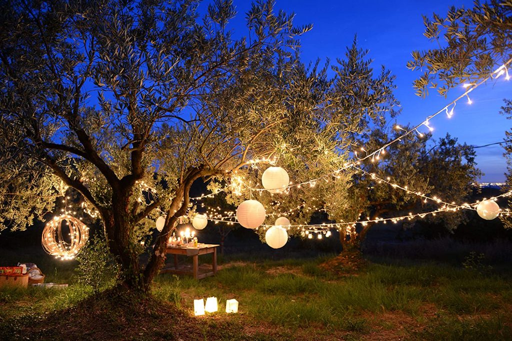 guirlandes LED pour jardin