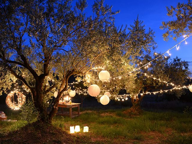 guirlandes LED pour jardin