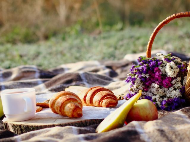 Table pic nic pliante